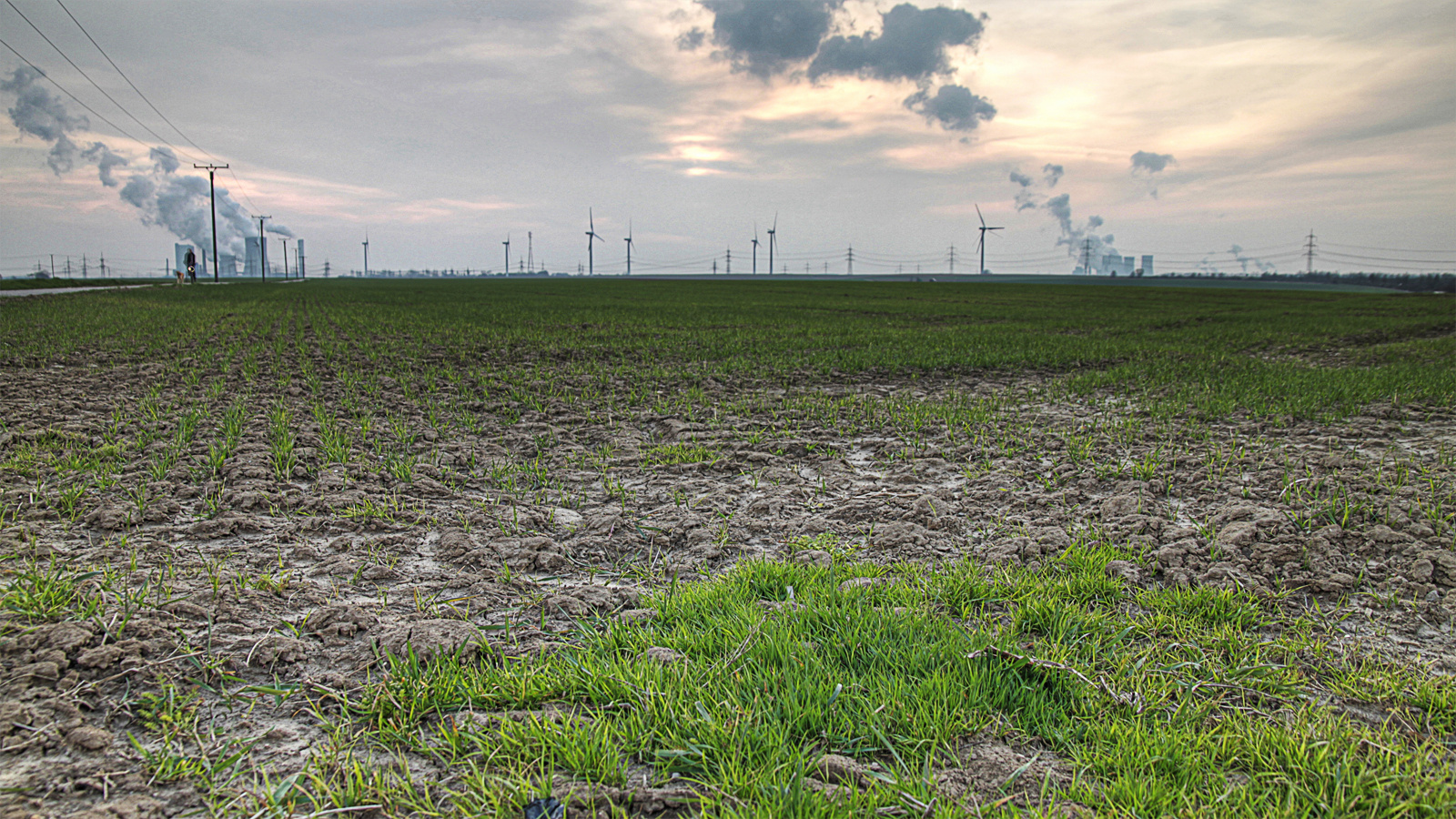 rheinische Ackerlandschaft im Frühling (HDRI)