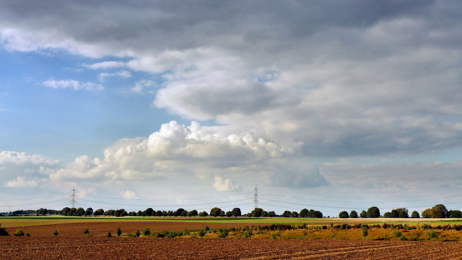 Rheinische Landschaft im Herbst