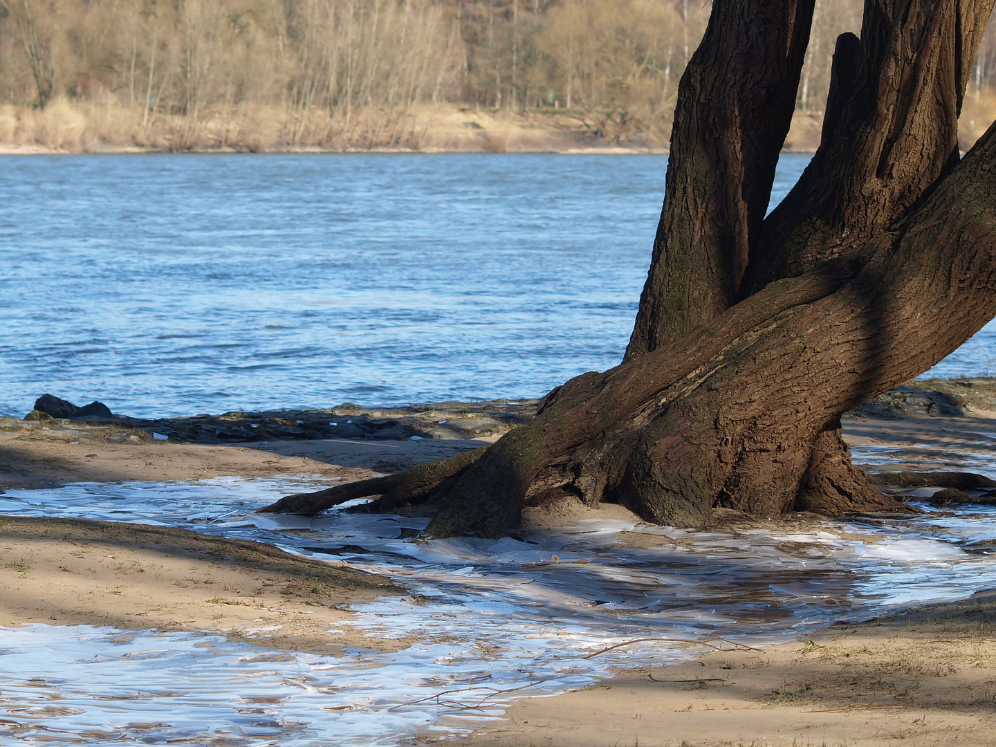 Rheinischer Winter