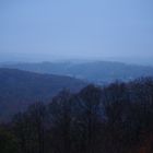 Rheinland im Nebel