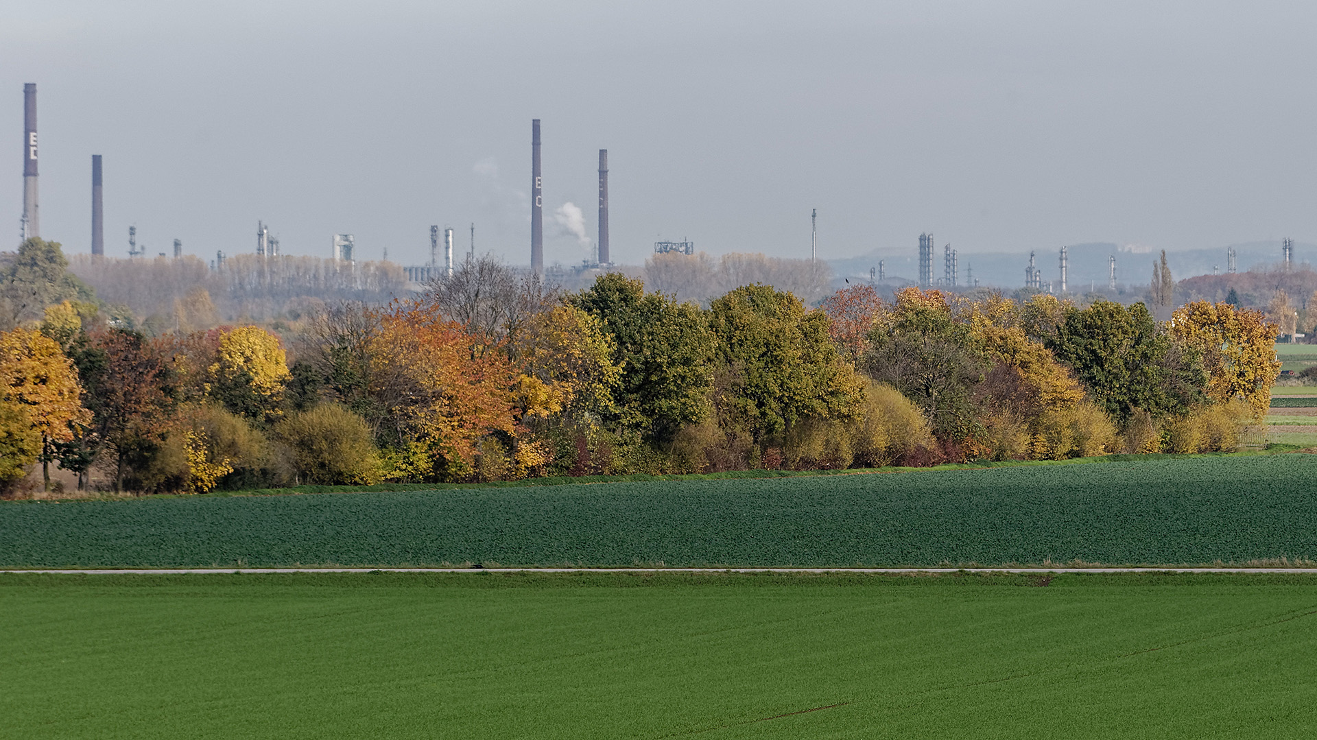 Rheinland: Landwirtschaft-Herbstlandschaft-Industrielandschaft Foto