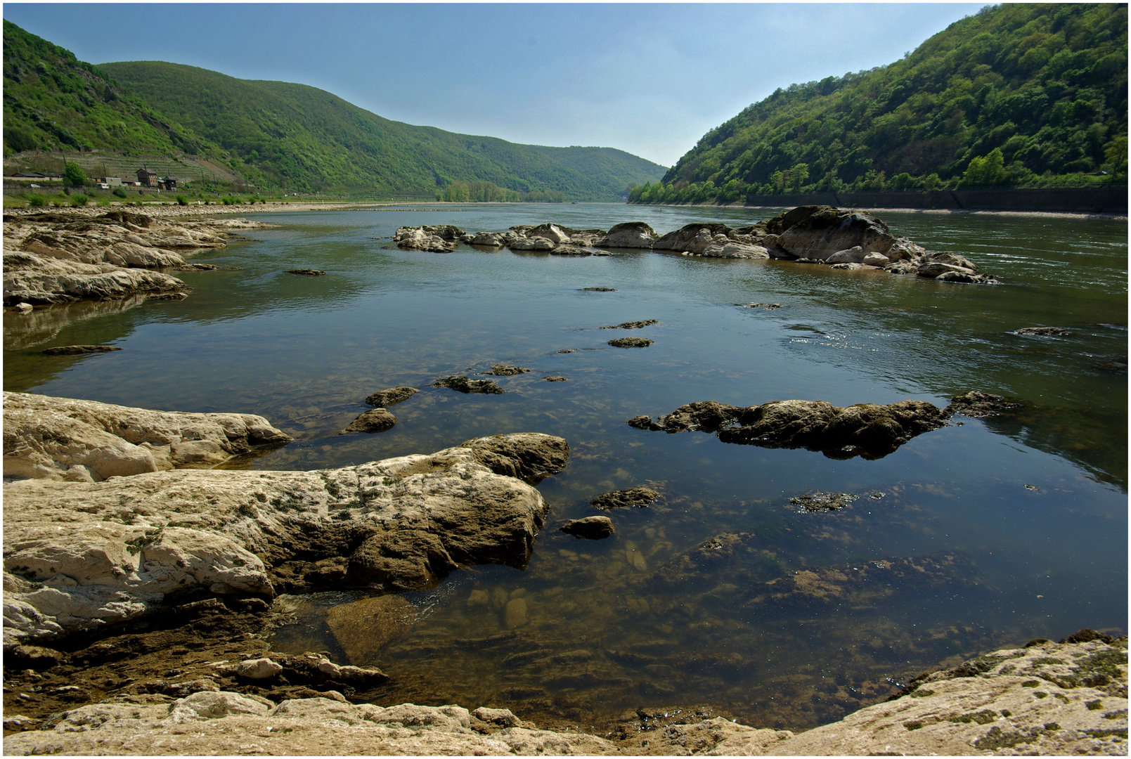 Rheinlandschaft am Pfalzgrafenstein bei Kleinwasser