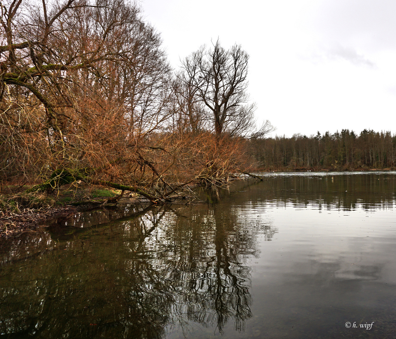 Rheinlandschaft 