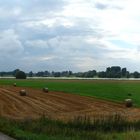 Rheinlandschaft bei Düsseldorf