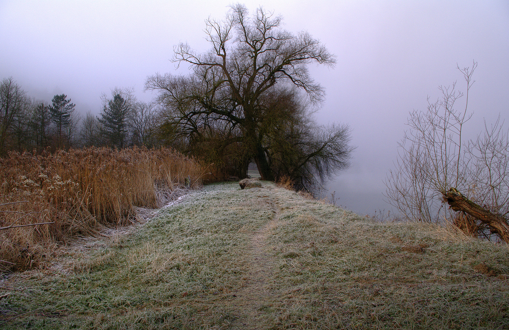 Rheinlandschaft