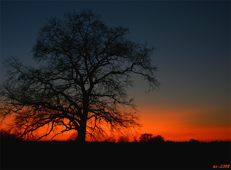 Rhein~Main~Sundowner