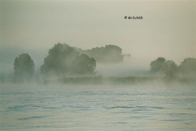 Rheinnebel in Uerdingen