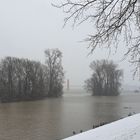 Rheinorange im Hochwasser