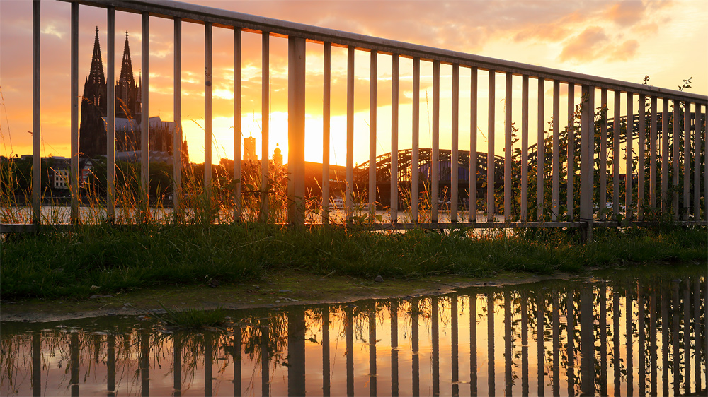 Rheinpanorama hinter Gittern