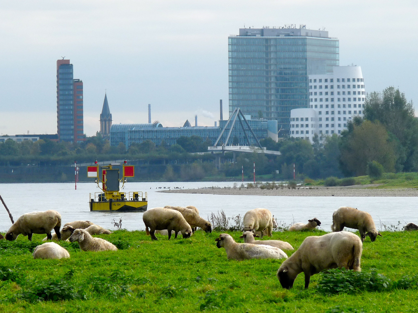 Rheinpanorama in Düsseldorf