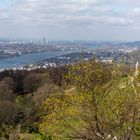 Rheinpanorama mit Schloss Drachenburg