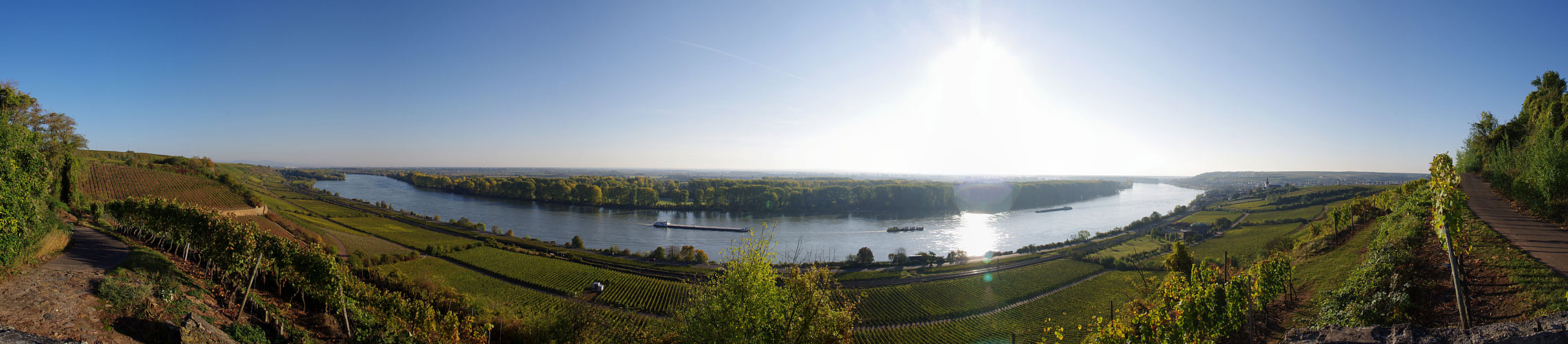 Rheinpanorama Nackenheim-Nierstein