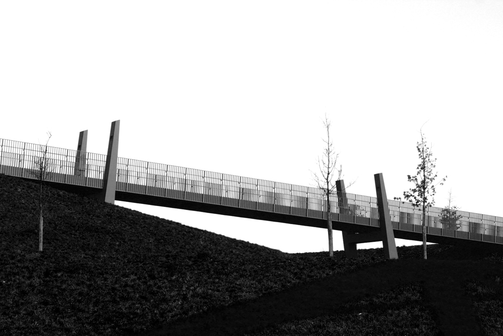 Rheinpark Brücke