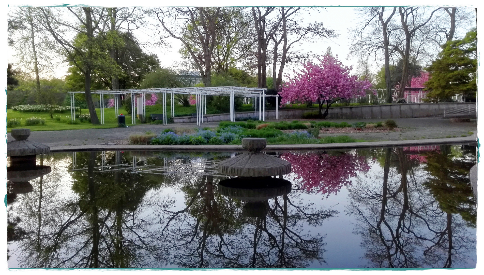 Rheinpark im Spiegel