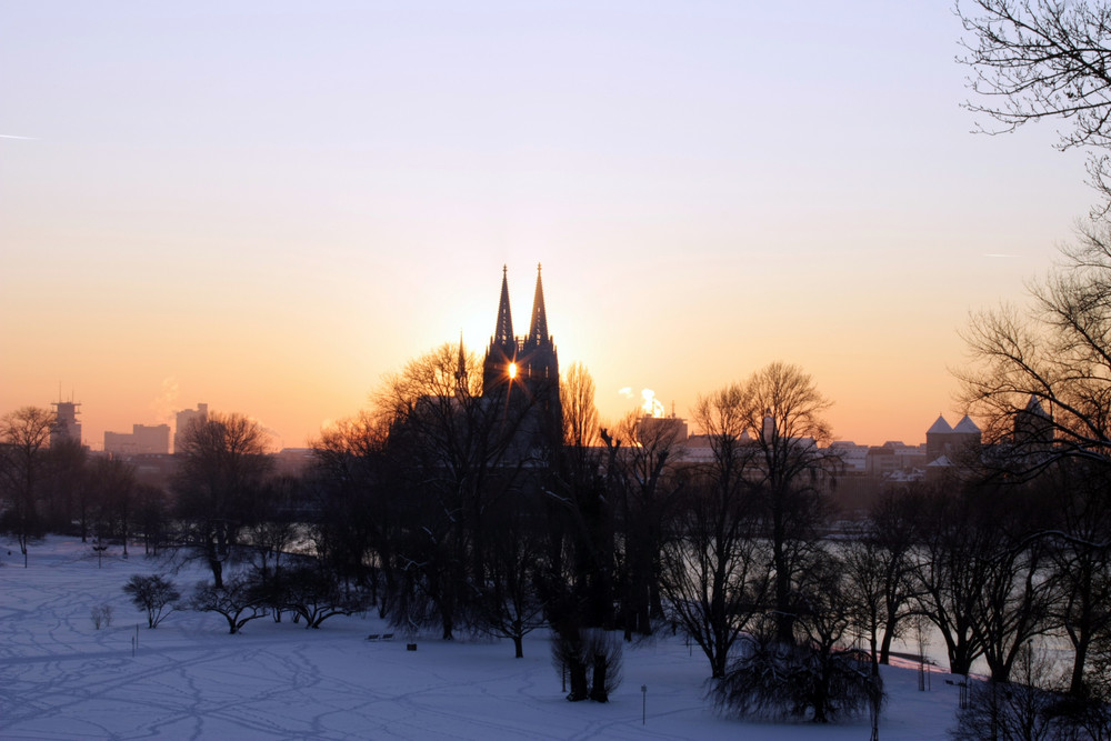 Rheinpark im Winter