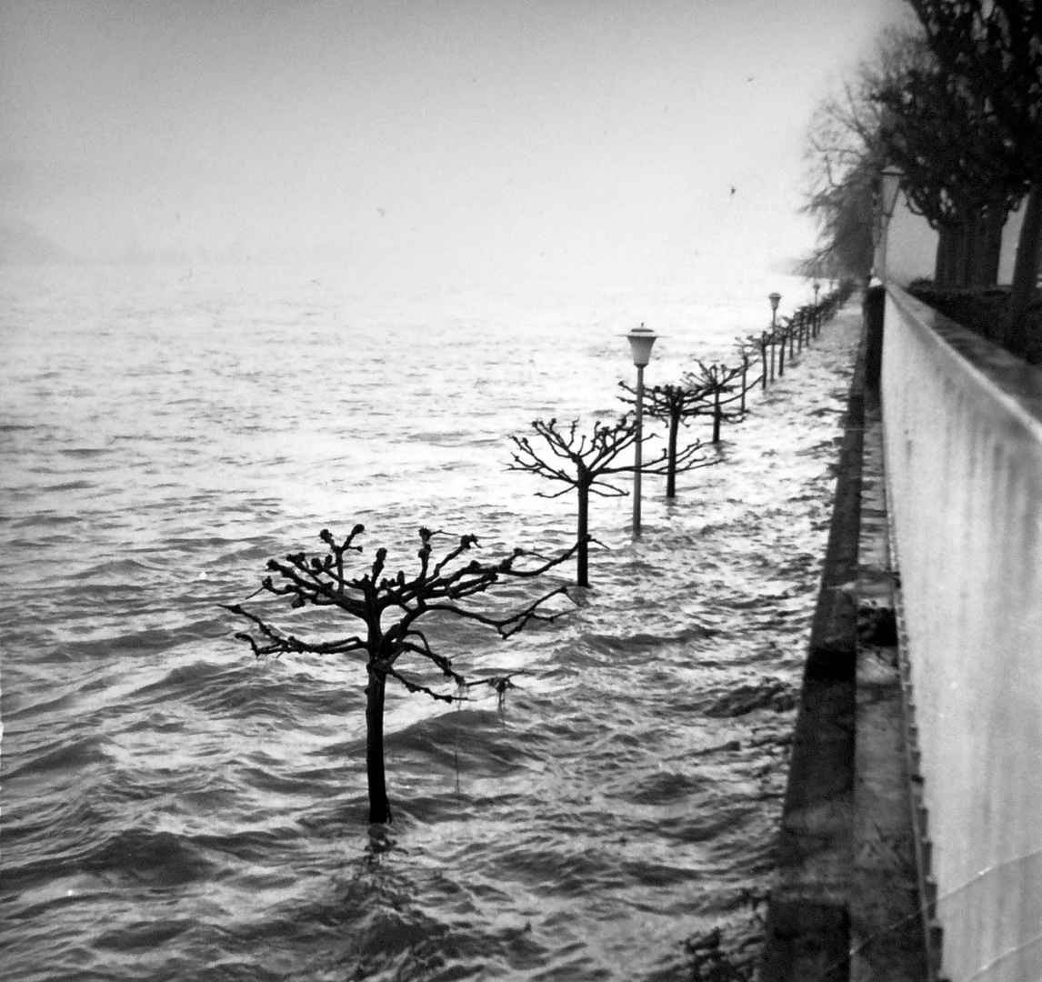 RheinPromenade 1970