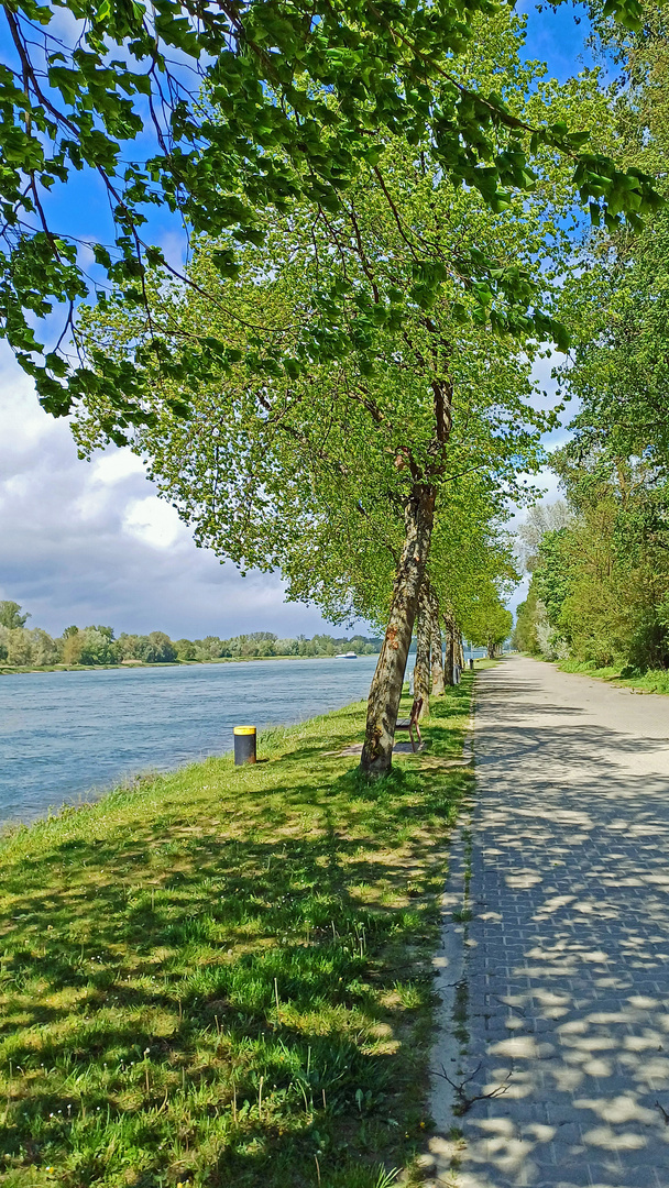 Rheinpromenade