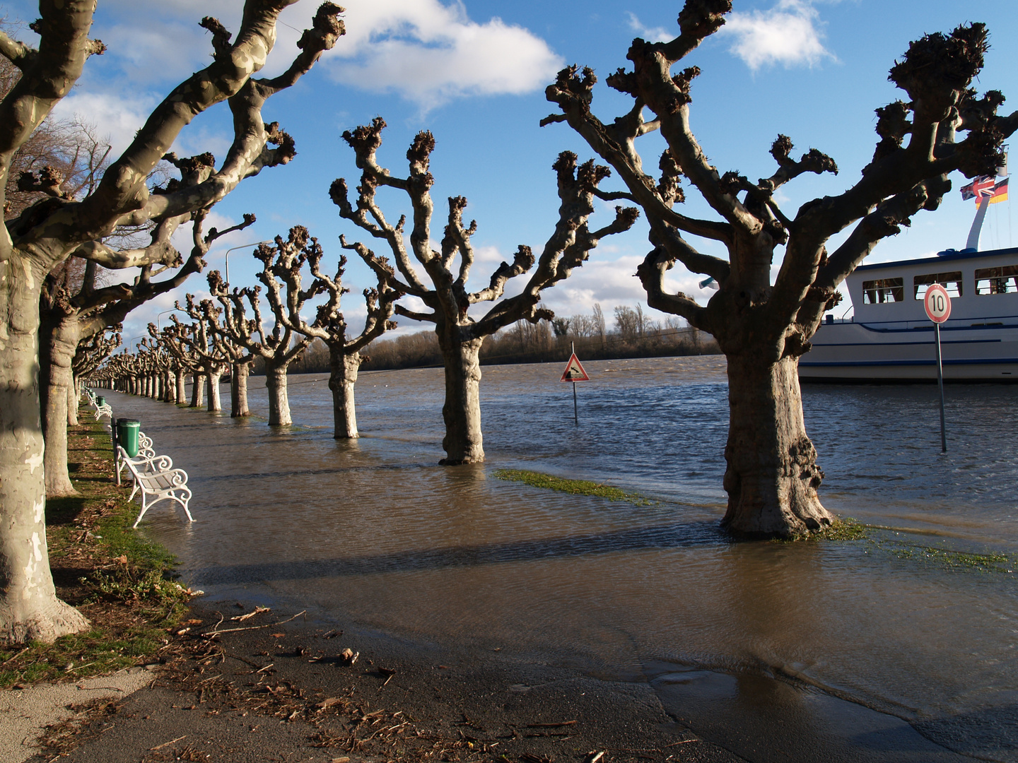 Rheinpromenade