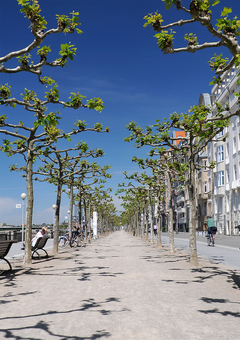 Rheinpromenade Düsseldorf