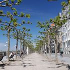 Rheinpromenade Düsseldorf