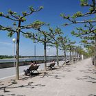 Rheinpromenade Düsseldorf