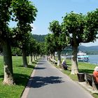 Rheinpromenade in Andernach