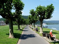 Rheinpromenade in Andernach