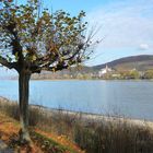 Rheinpromenade in Bad Breisig mit Blick auf Bad Hönningen