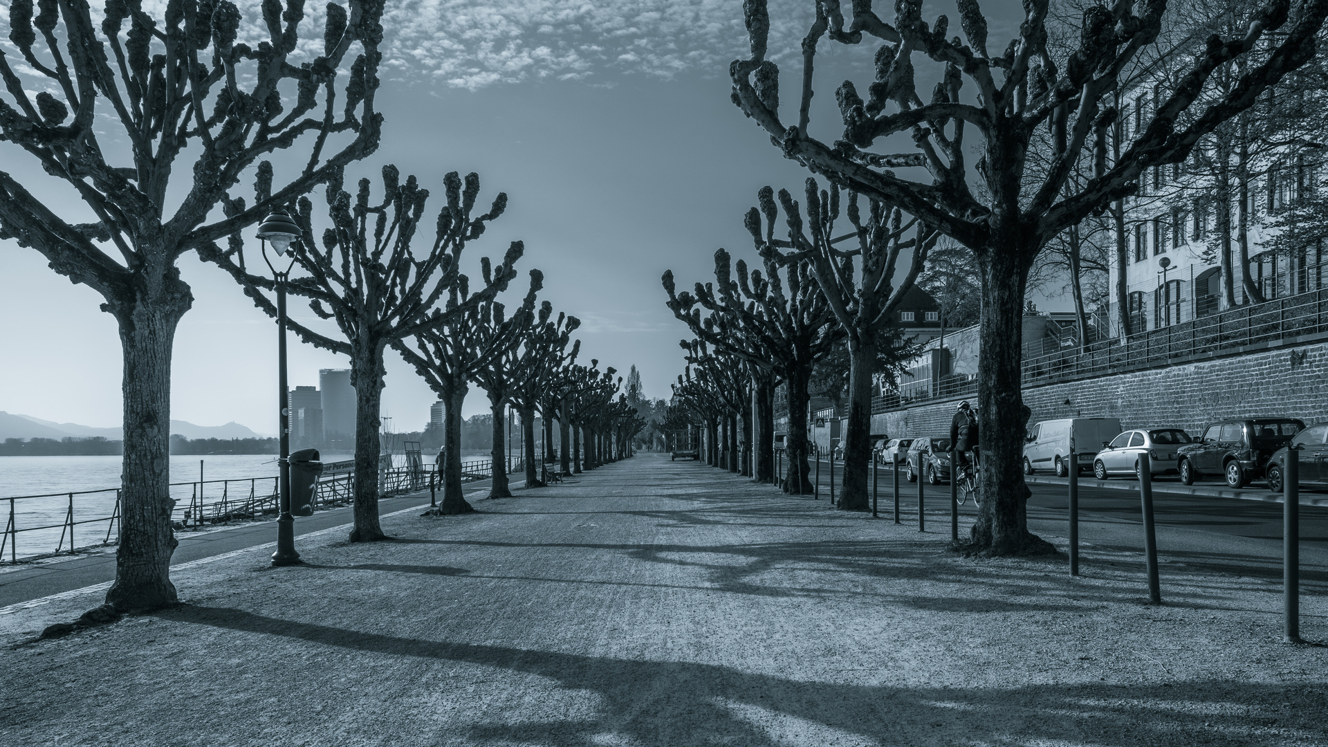 "Rheinpromenade in Bonn"