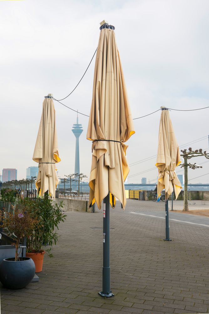 Rheinpromenade mit Rheinturm und Sonnenschirmen