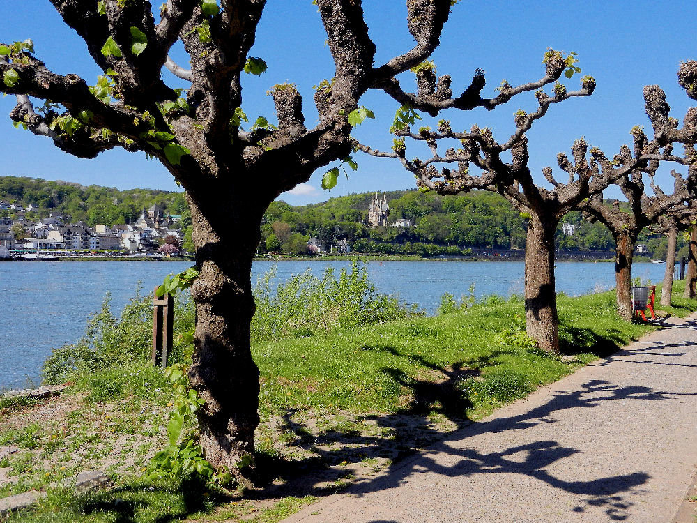 Rheinpromenade von Erpel