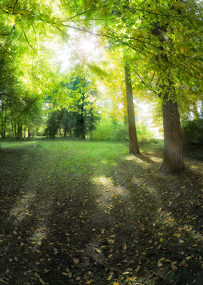 Rheinsberger Herbst