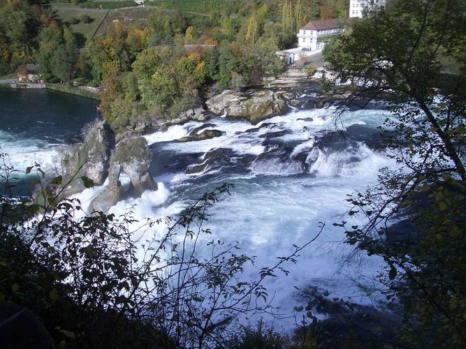 Rhein_Schafhausen