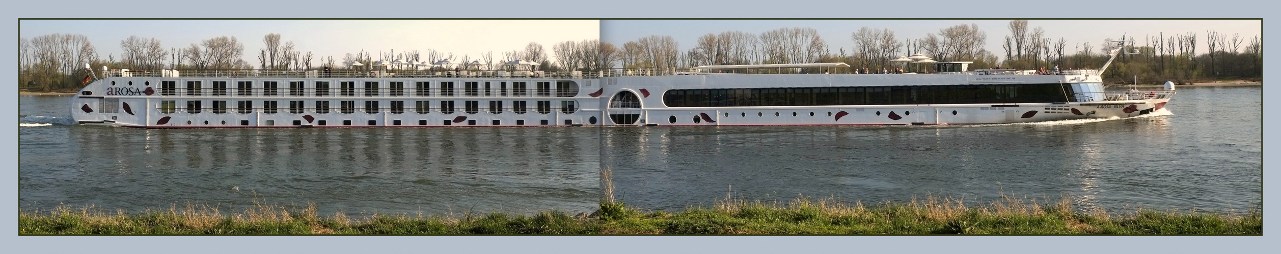 Rheinschiff AROSA
