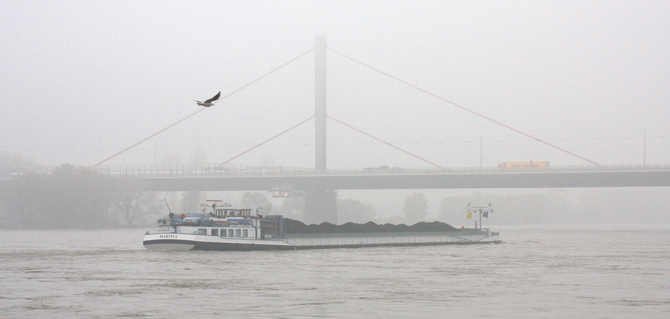 Rheinschiff im November...