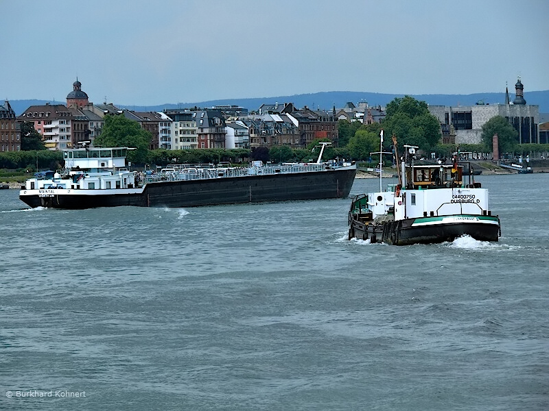 Rheinschifffahrt bei Mainz