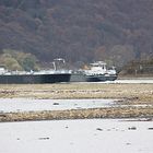 Rheinschifffahrt bei Niedrigstwasser