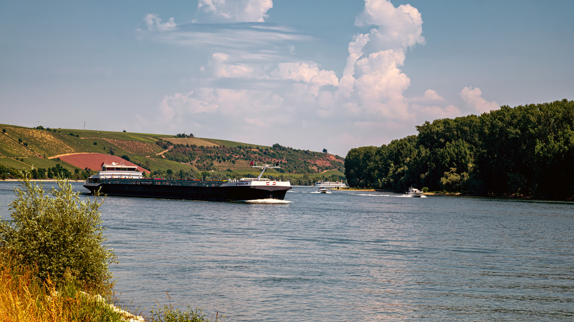 Rheinschifffahrt bei Nierstein