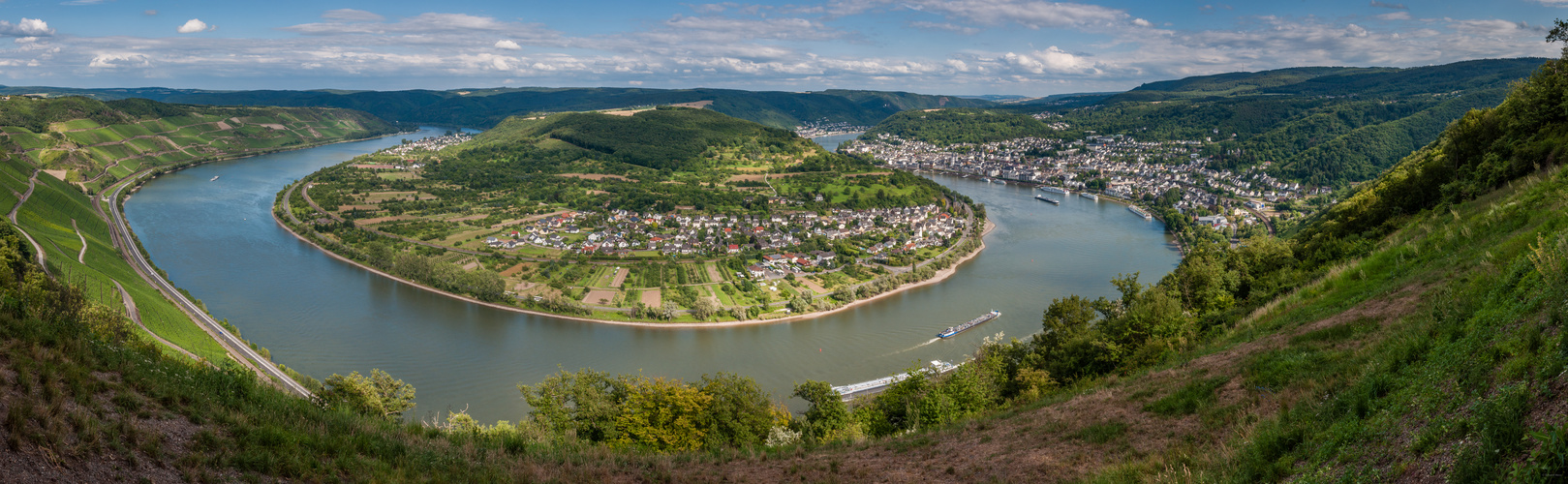 Rheinschleife bei Boppard (11n+)