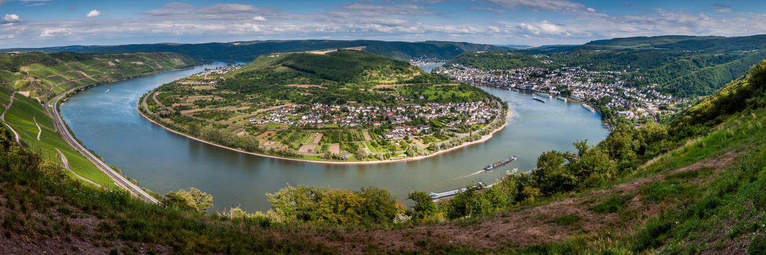 Rheinschleife bei Boppard (11neu)