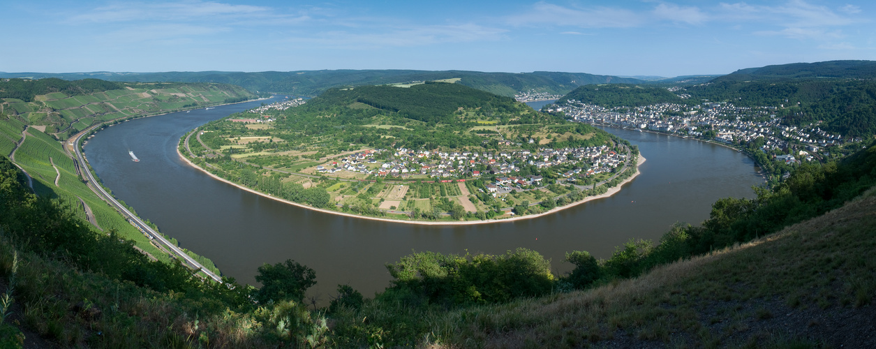 Rheinschleife bei Boppard