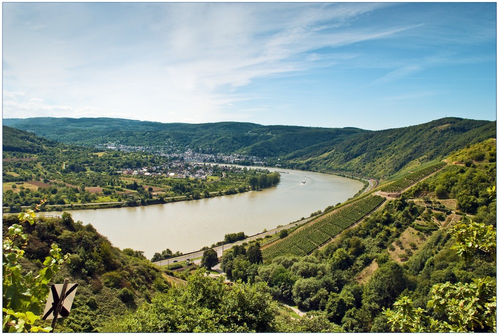 Rheinschleife bei Boppard