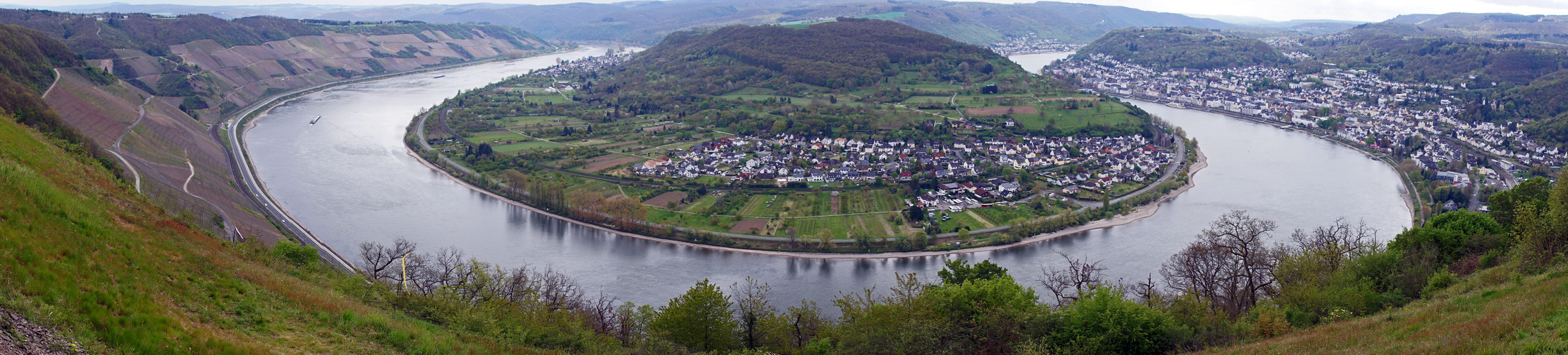 Rheinschleife bei Boppard