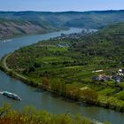 Rheinschleife bei Boppard