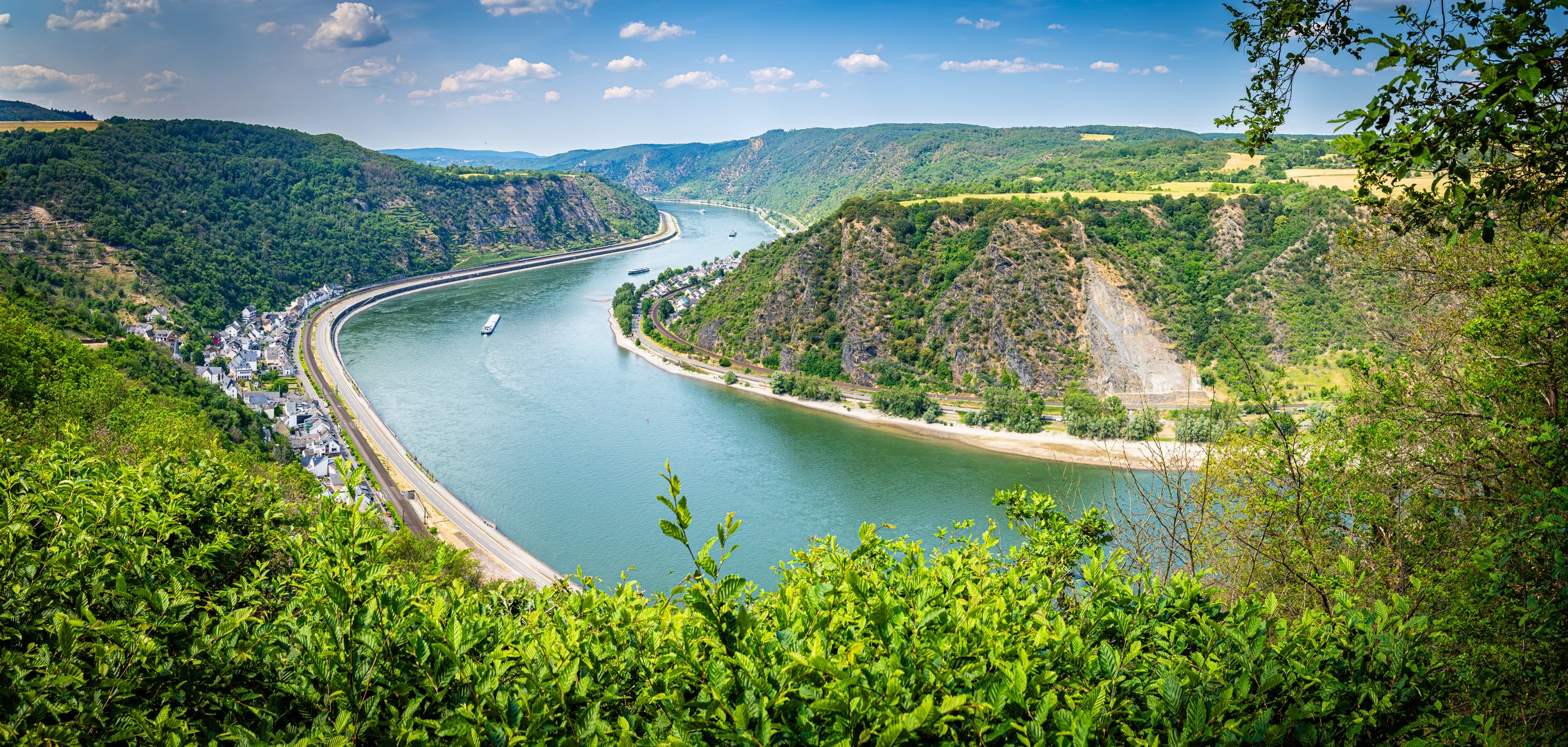 Rheinschleife bei Hirzenach (1)