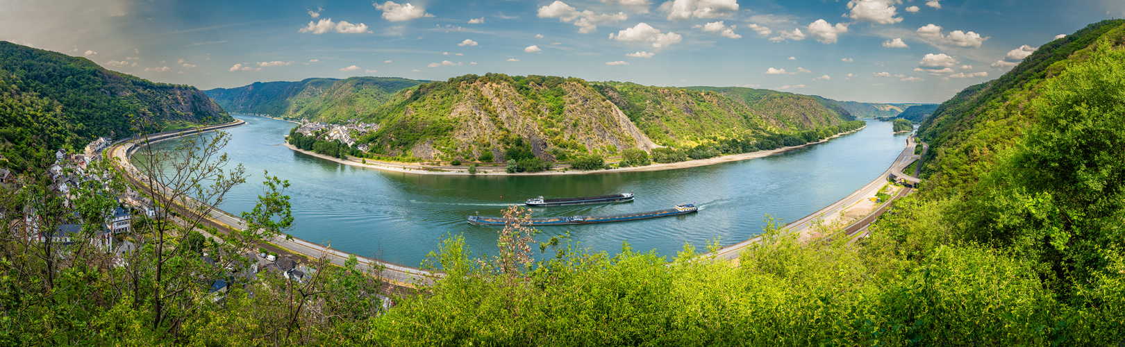 Rheinschleife bei Hirzenach (14)