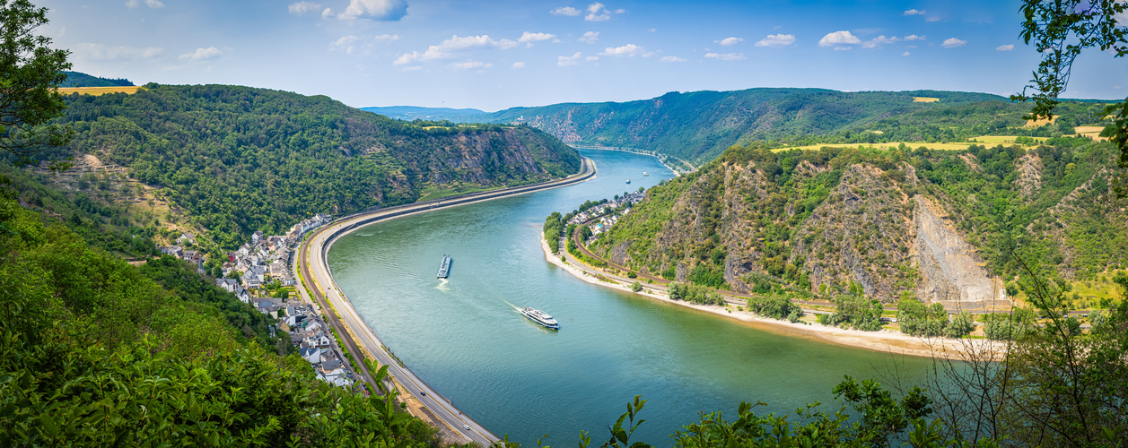 Rheinschleife bei Hirzenach (5)