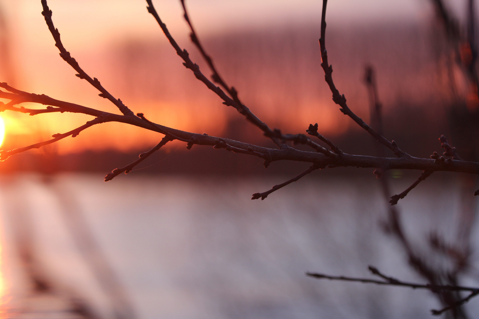 Rheinschlinge zum Sonnenuntergang