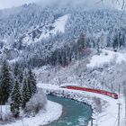 Rheinschlucht, Winter und kein Dampf