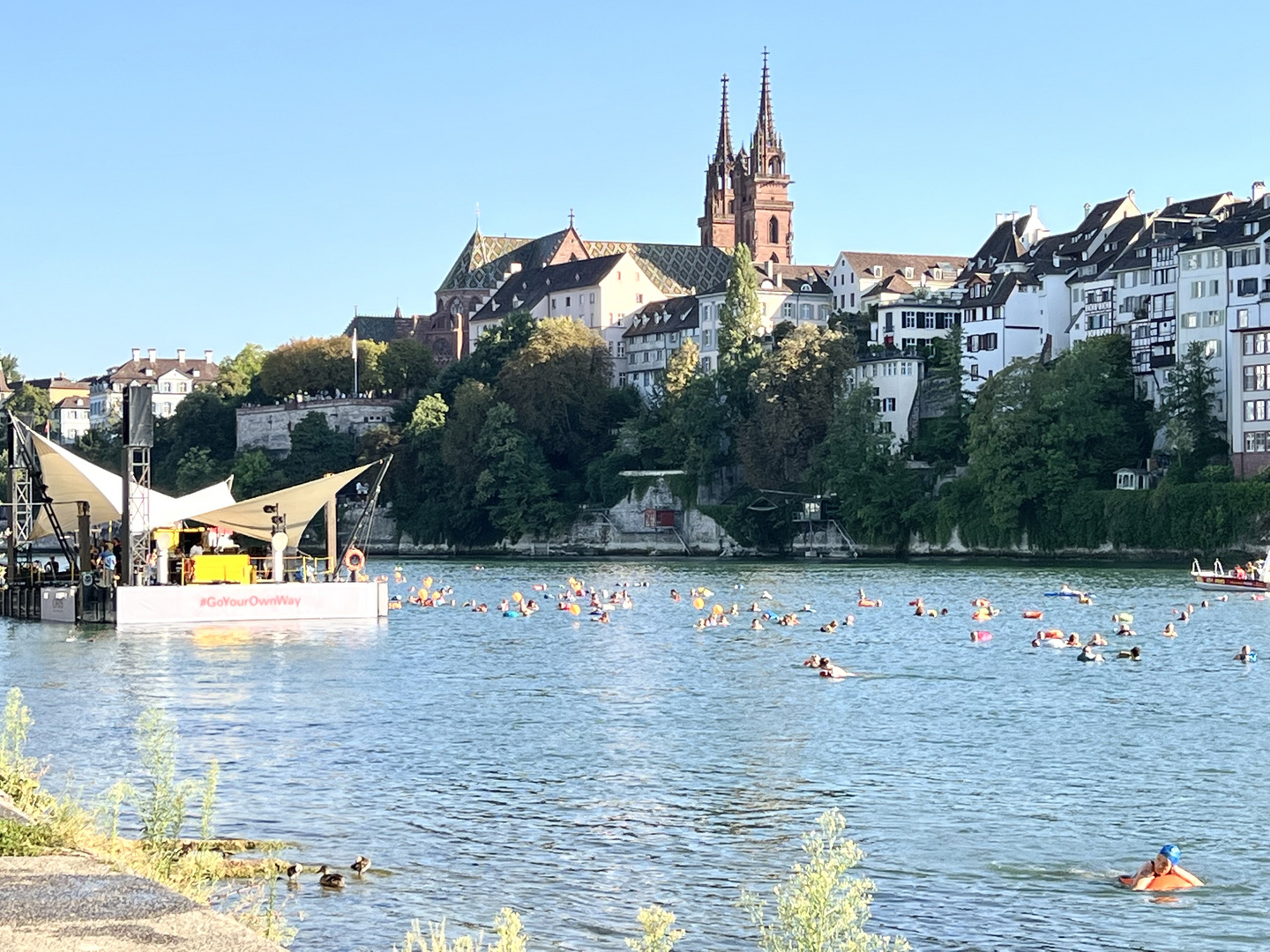 Rheinschwimmen in Basel